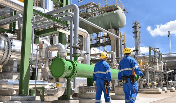 Industry-Expertise-&-Customization